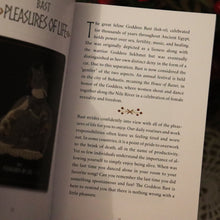 Load image into Gallery viewer, Femme Folk Oracle Deck