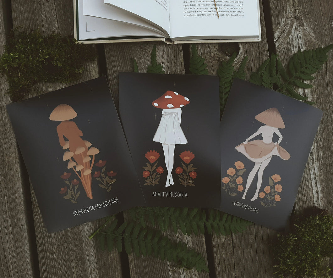 Mushroom Art Package