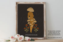 Load image into Gallery viewer, Hypholoma Fasciculare Mushroom Art Print
